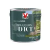 qualité d’originales Castorama Peinture Bois Couleurs D’ici Vert Profond Velours V33 2L 5