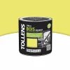 Castorama Peinture Bois Extérieur Premium Figue De Marseille Satin Tollens 0,5L Officielle 7
