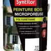 magasin pour Castorama Peinture Bois Ultra Protect Intérieur Extérieur Blanc Syntilor 5L 5