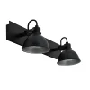 Castorama Réglette Spot 2 Lumières GU10 35W Seynave Country Noir L.13 X L.42 X H.13 Cm Acheter Maintenant 7